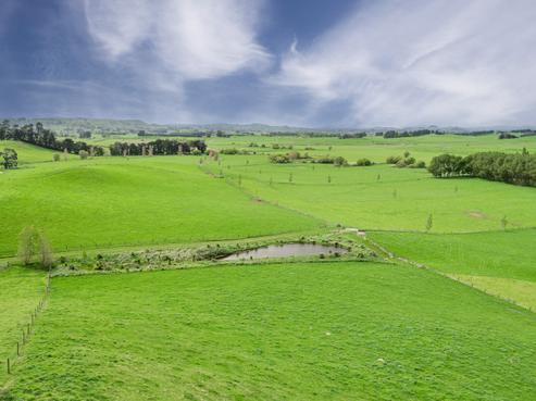 271 Ngahape Road, Waipukurau and Surrounds