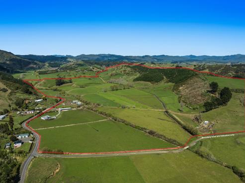 294 Tirohanga Road, Opotiki and Surrounds