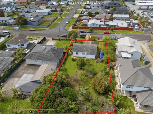 55 Clendon Avenue, Papatoetoe