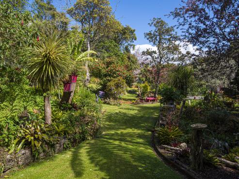 34 Bedlington Street, Whau Valley