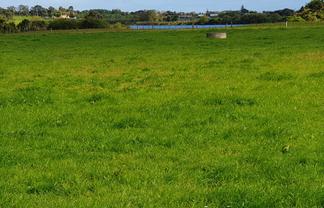 1 Mamaku Road, Brixton