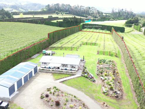 378 Manoeka Road, Te Puke