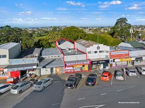 1482B Dominion Road, Mount Roskill