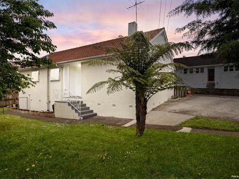 1157 Dominion Road, Mount Roskill