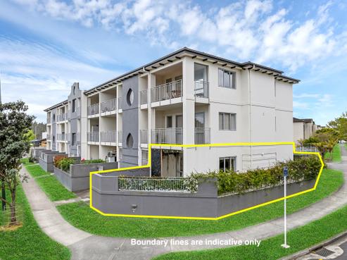 101/75 Michael Jones Drive, Flat Bush