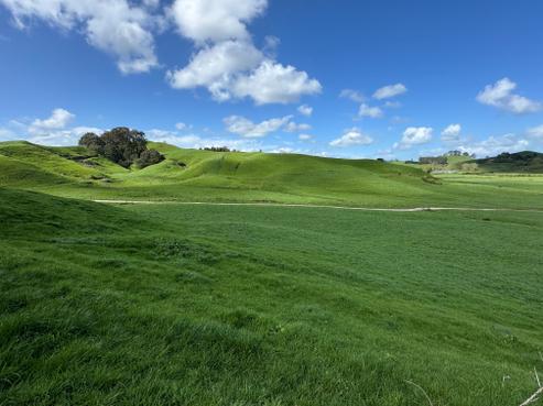 212 Karapiro Road, Karapiro