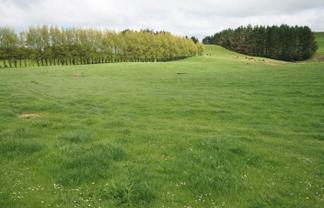 23-42 Tiromoana Road, Maata