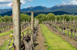 54 Bell Road, Brightwater