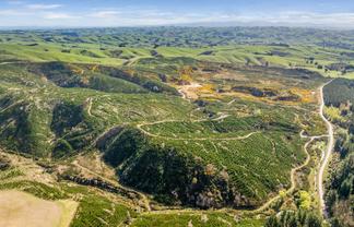  Claim Ground Forest, Waitahuna