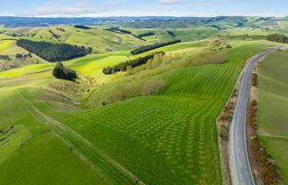  Southern Estate, Milton