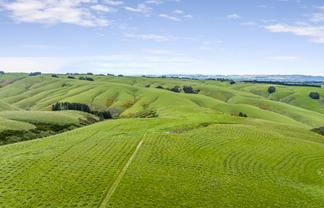  Rutherford, Waitahuna