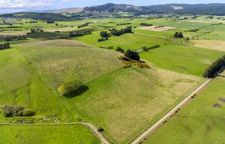  Table Hill Forest, Milton