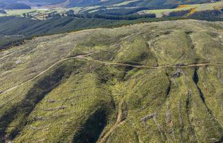  Taieri View 17 & 18 and Bells Bush Forest, North Taieri