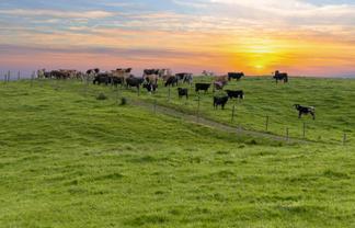 122 Evans Road, Helensville