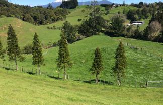 Development Opportunity on the City Fringe