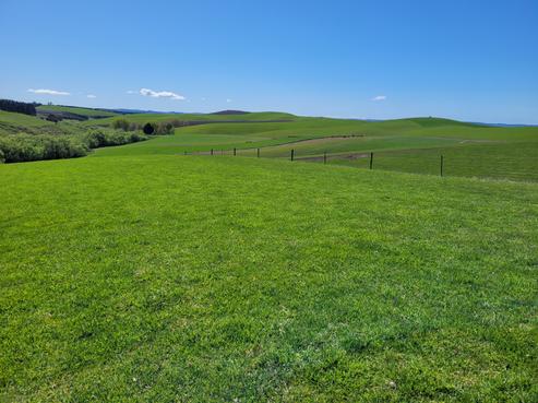 73 Johnstons Road, Five Forks and Surrounds