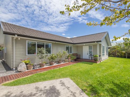 22 Mcfetridge Lane, Ohauiti