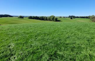 191 Chapman Road, Wharetoa