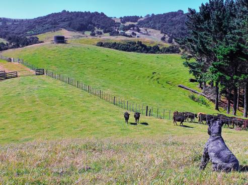 58 Monowai Road, Wainui