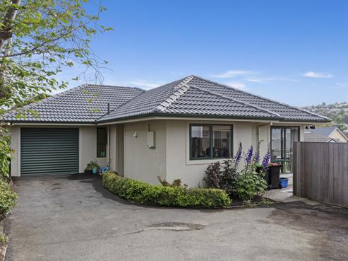 29B Butler Street, Maori Hill