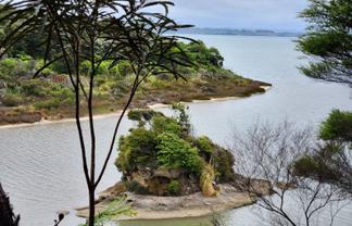 Te Papatapu Road, Raglan