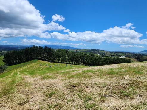 481 Honikiwi Road, Otorohanga
