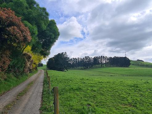 938 Tauhei Road, Morrinsville