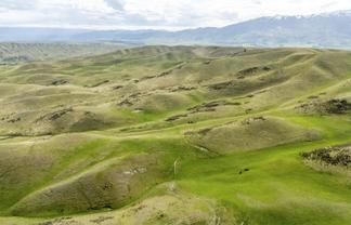  Corrigall Road, Chatto Creek