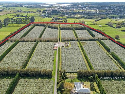 28 Smith Road, Waiuku