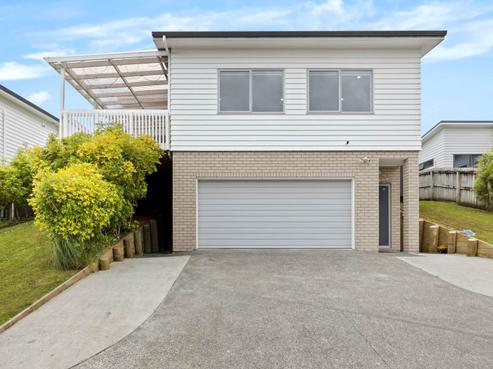 55 Leo Street, Glen Eden