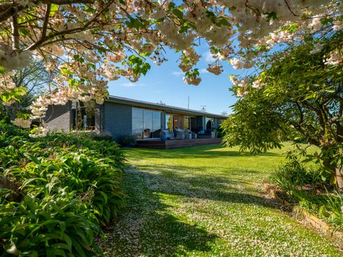 159 Downs Road, Geraldine