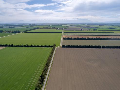 556 Lauriston Barrhill Road, Methven