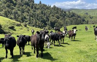 770 Owhiro Road, Otorohanga