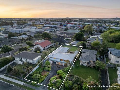 115 Winchester Street, Levin