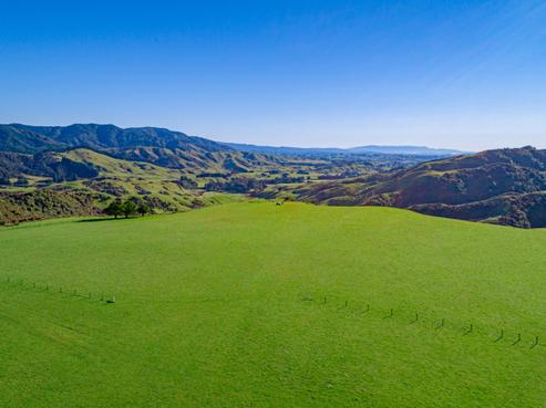 85613 State Highway 2, Kiriwhakapapa