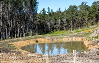 205 Wishart Road, Helensville