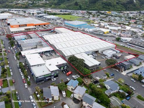 8 Burnham Street, Petone