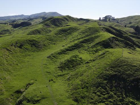 1410 Ngapaeruru Road, Dannevirke