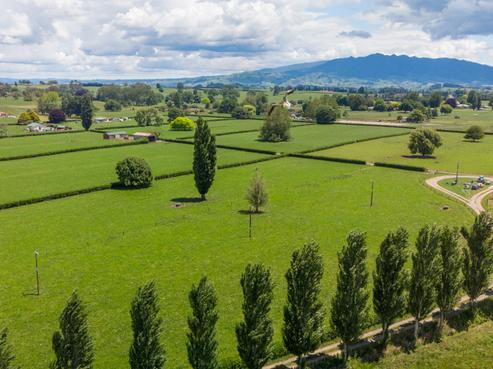 446 Pirongia Road, Te Awamutu