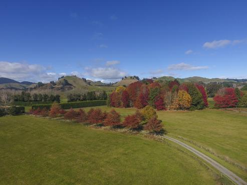 21 Mangatete Road, Waikite Valley
