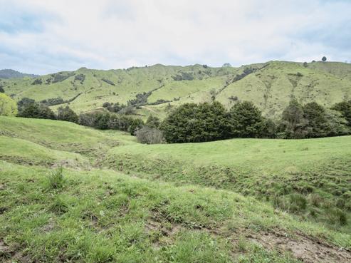 1339 Hikumutu Road, Taumarunui
