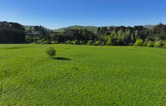 84326 State Highway 2, Eketahuna