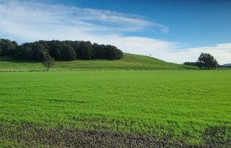 5466B State Highway 14, Dargaville