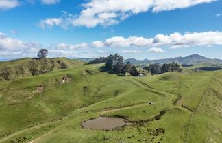 1063 Ngapaeruru Road, Dannevirke