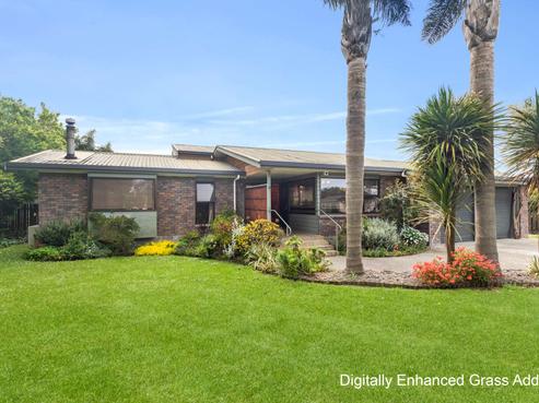 7 Darlington Street, Ngatea