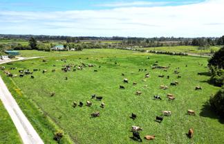  130 Stephen Road, Westport