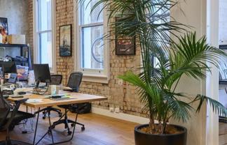 Stunning Character Office