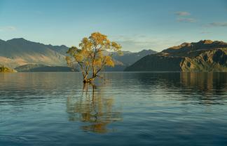 Premium Accommodation Business in Central Otago