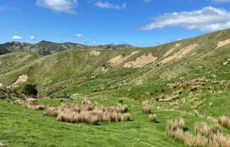 384 Waikakahi Road, Pongaroa