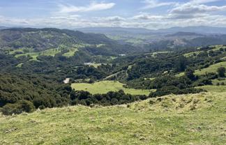 1050 Ellis Wallace Road, Eskdale